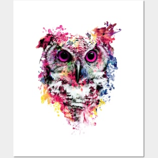 Owl Posters and Art